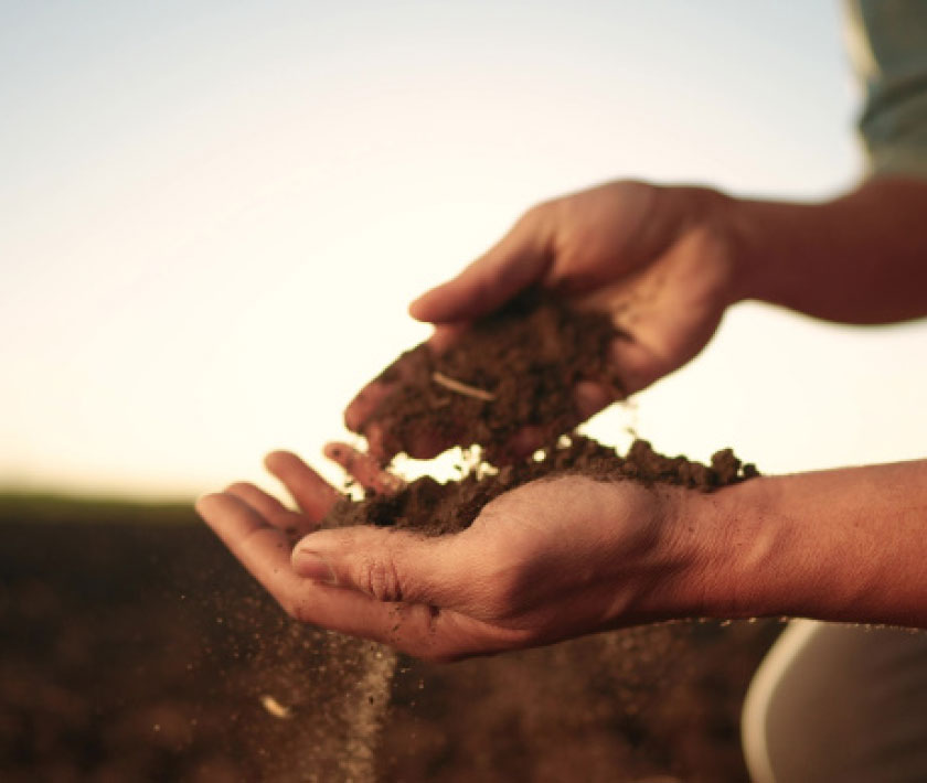 A person holding a rich brown soil