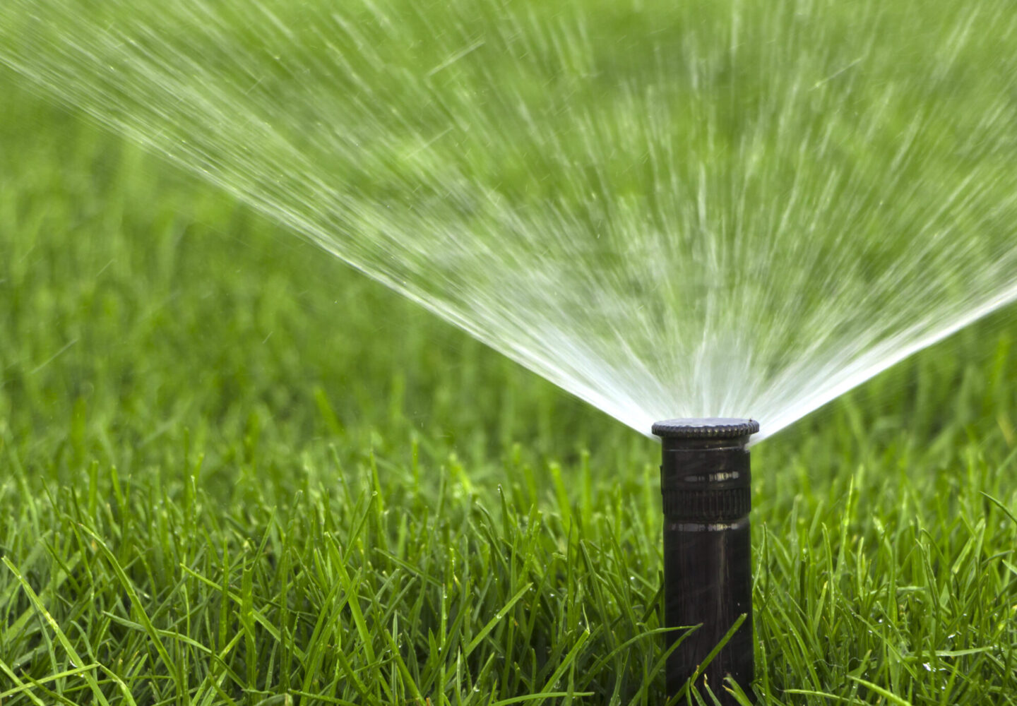 Automatic Garden Lawn Sprinkler In Action Watering Grass