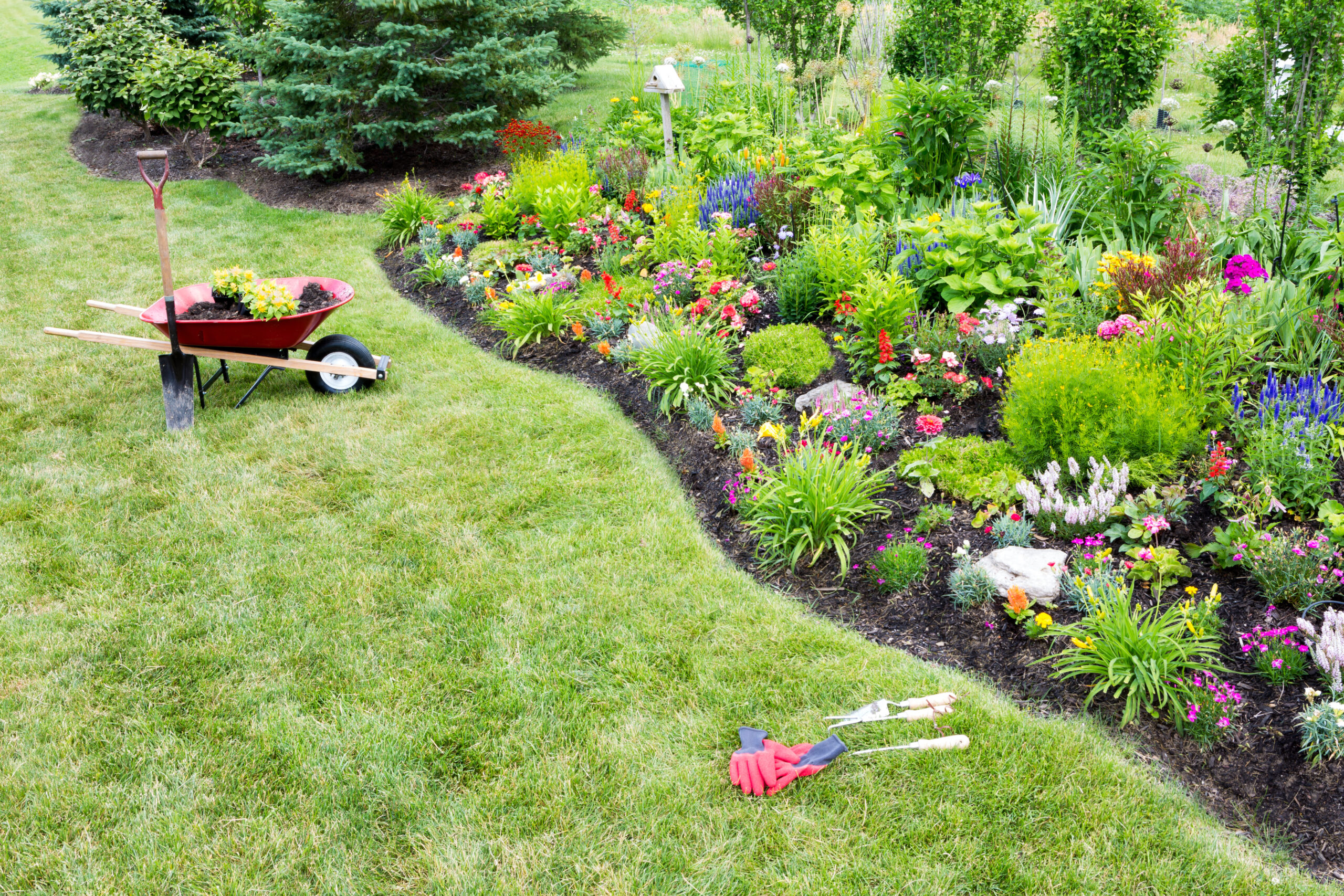 A garden filled with various flowers and a wheelbarrow - spring lawn care tips in Australia