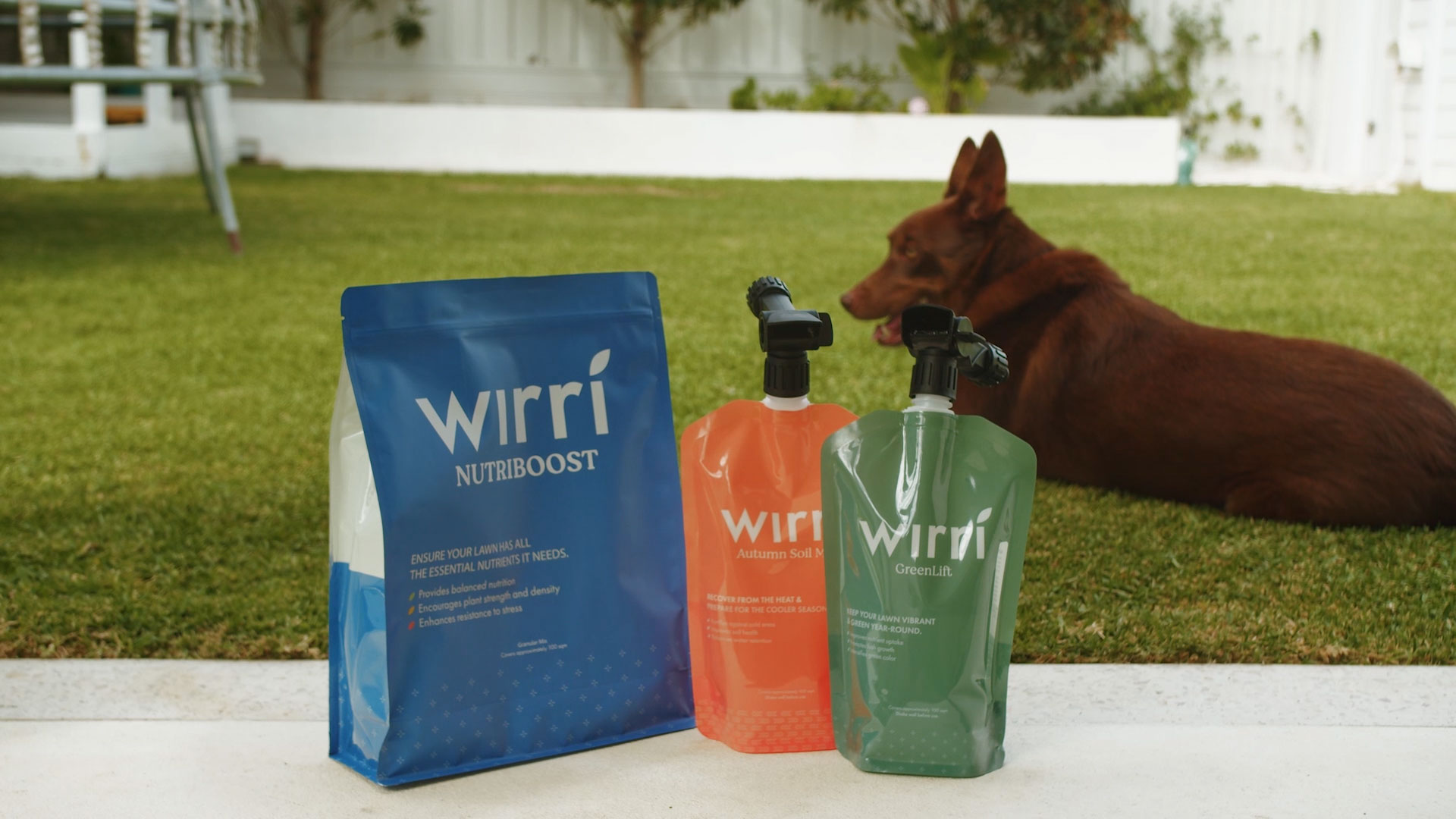 An image showcasing Wirri's products displayed on the lawn, with a dog sitting nearby.