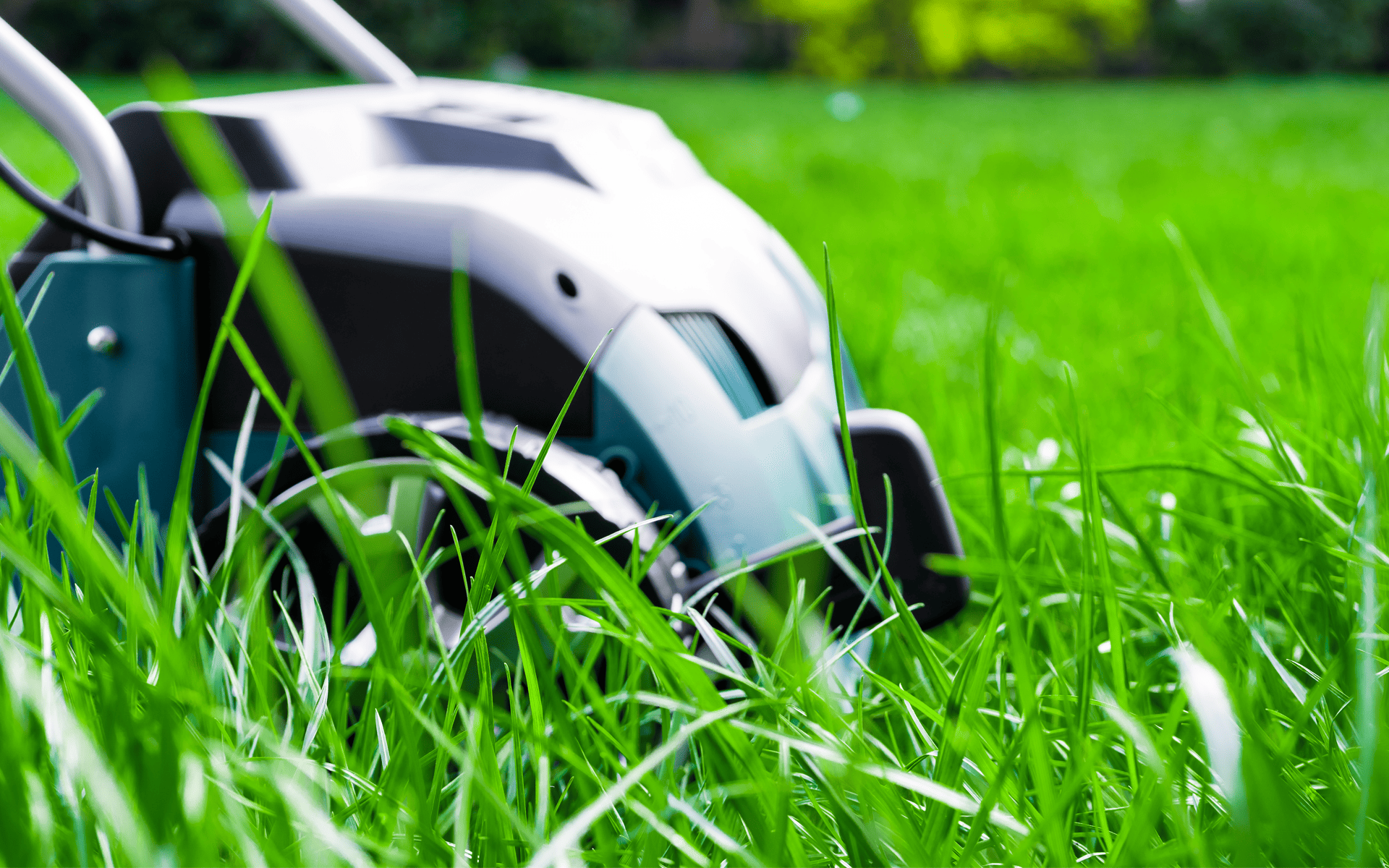 Lawn Care Tips - Aerating healthy green lawn