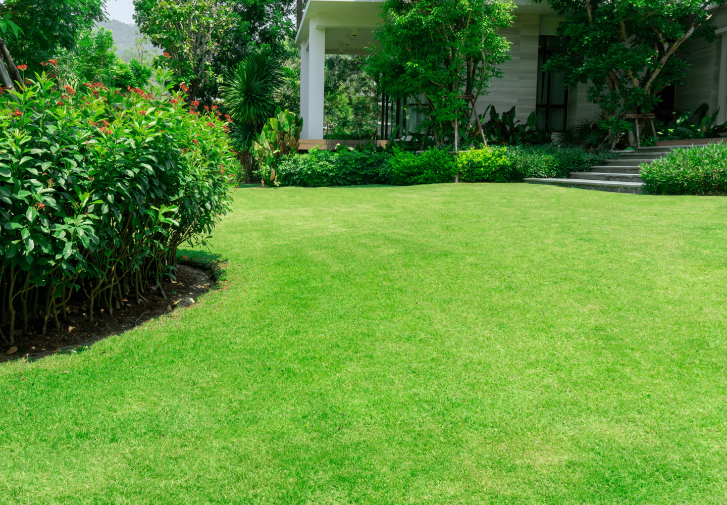 Lawn Care Tips - Choosing the right lawn for your home