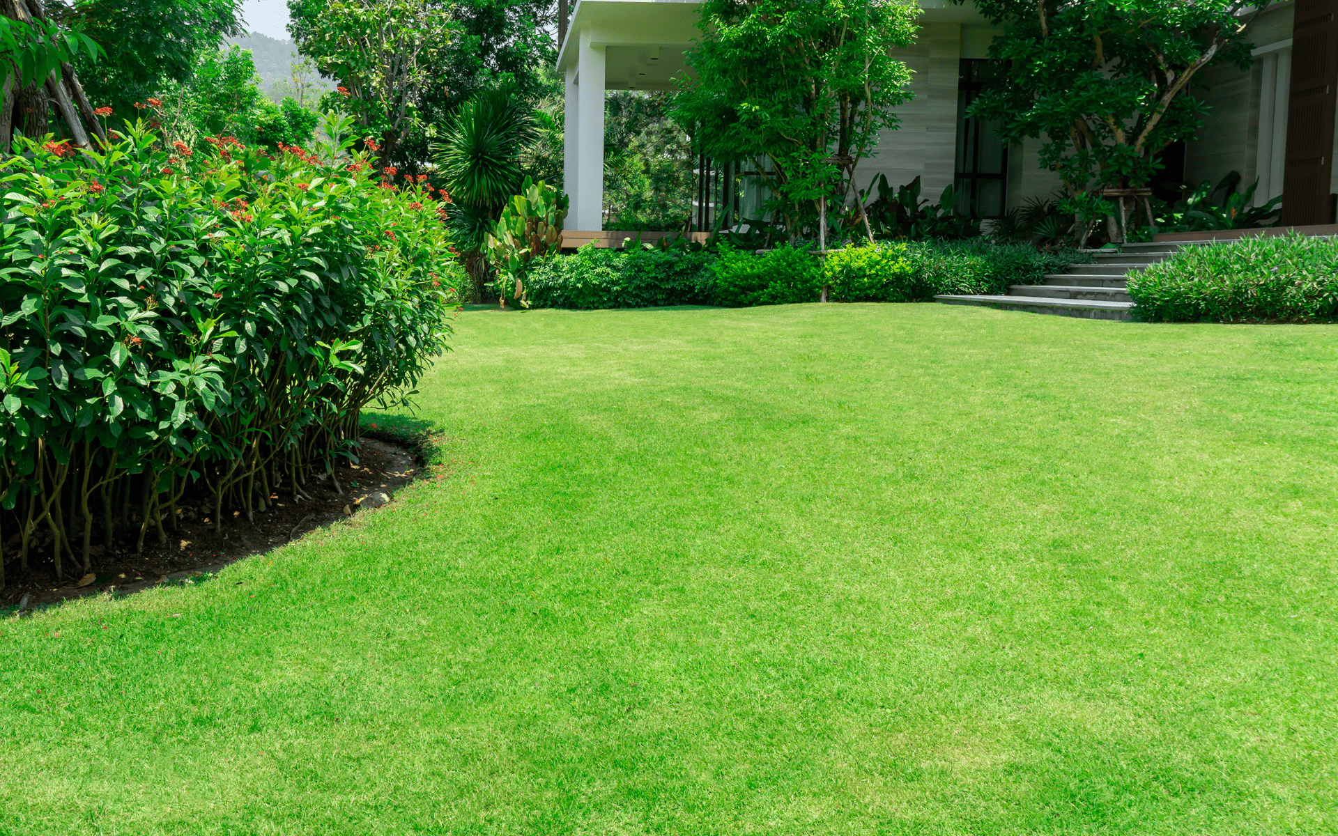 Lawn Care Tips - Choosing the right lawn for your home