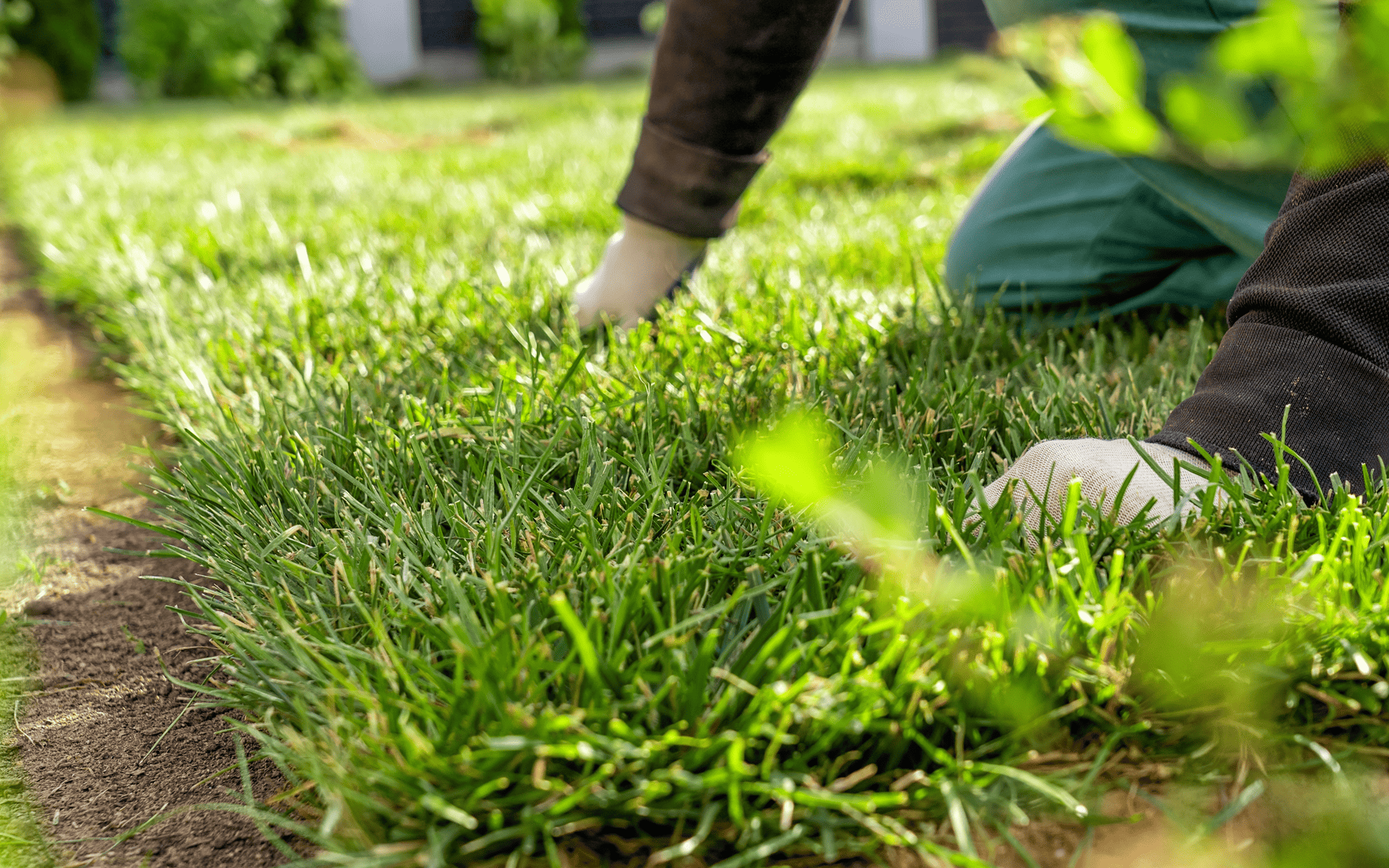Lawn Care Tips - Fixing Sides of a Lawn