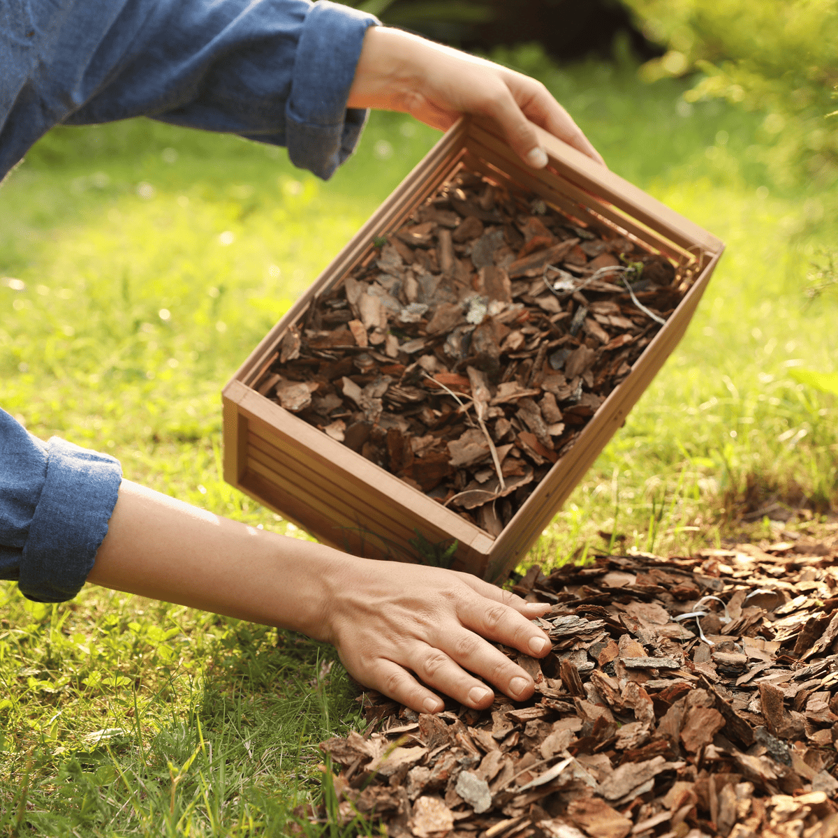 Lawn Care Tips - Using mulching during a drought