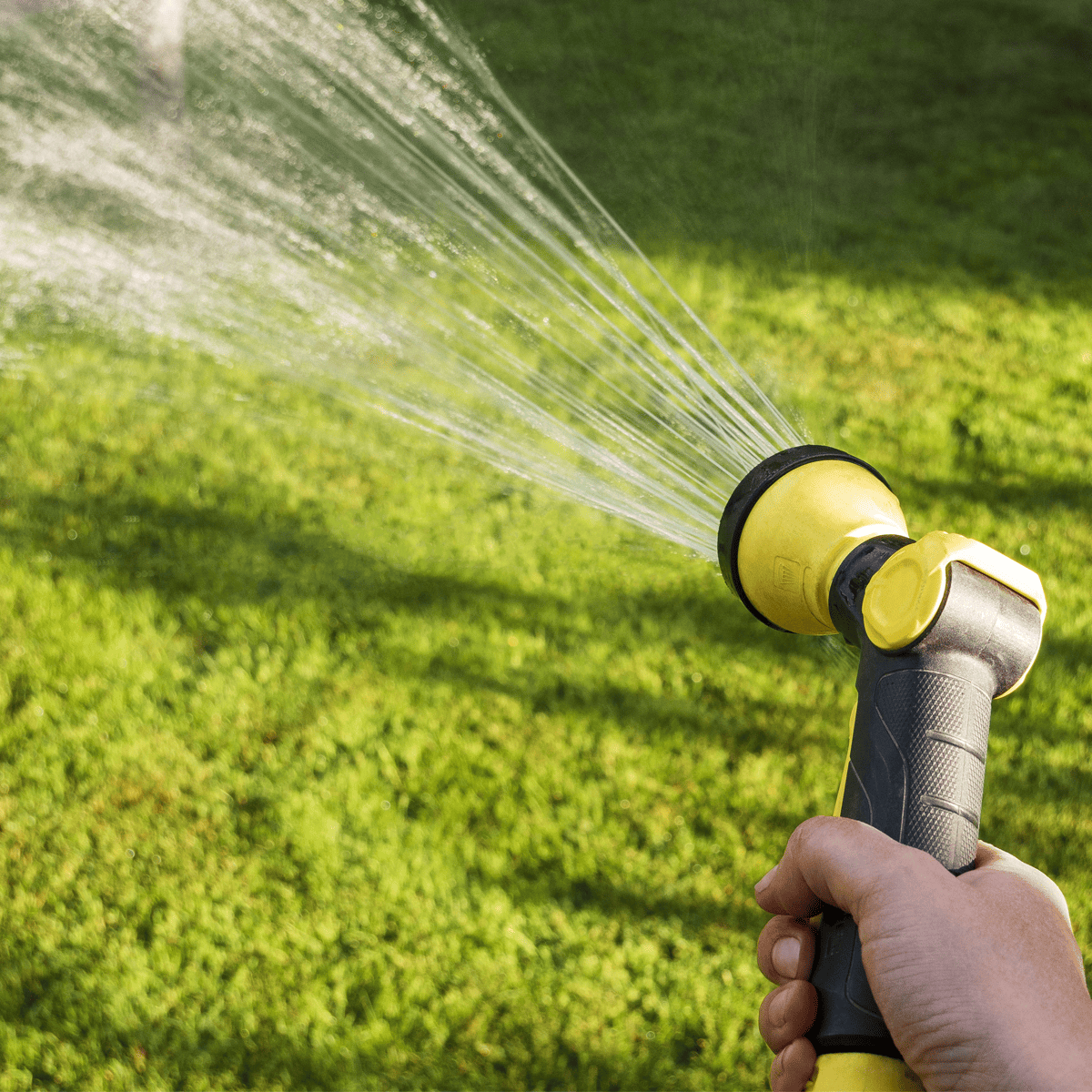 Lawn Care Tips - Watering a lawn based on conditions