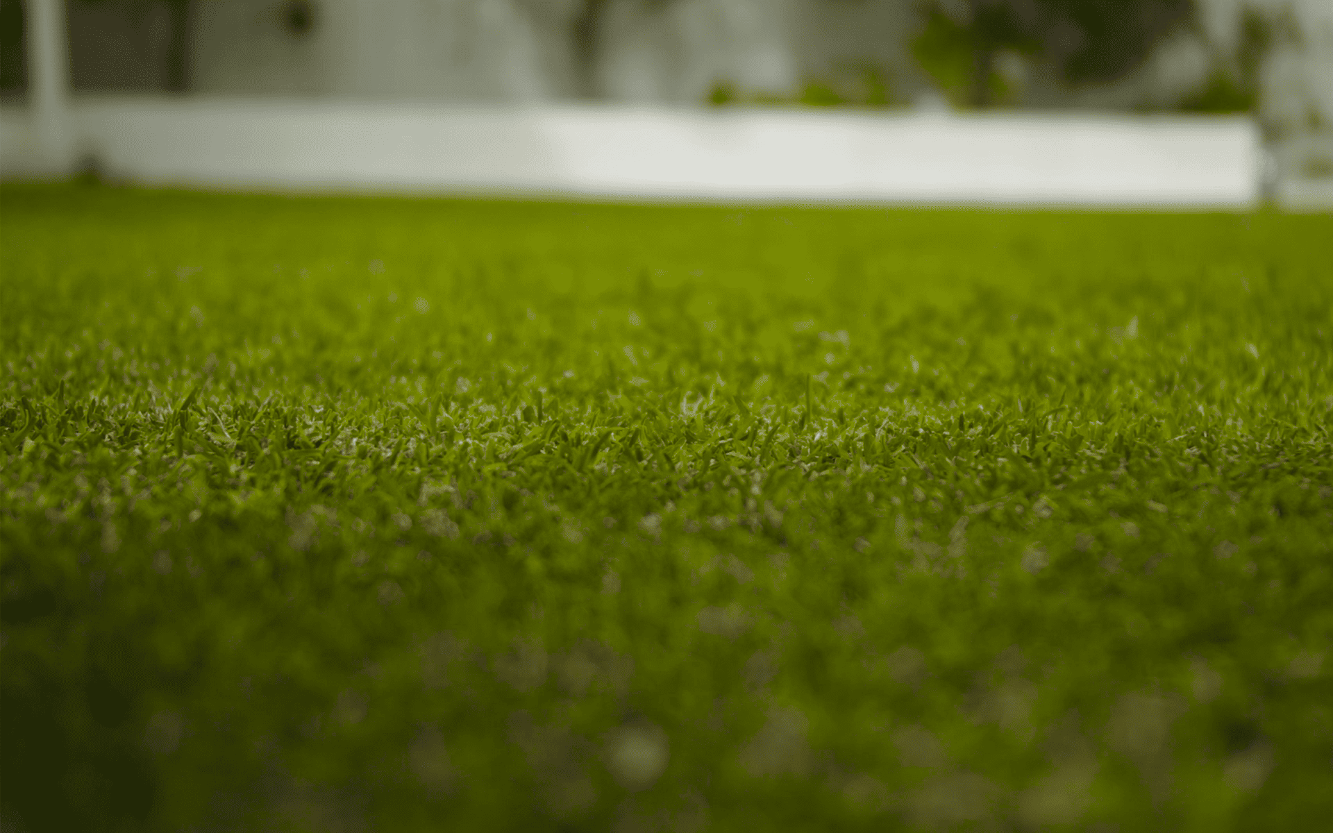 Lawn Care Tips - Green and well maintained lawn