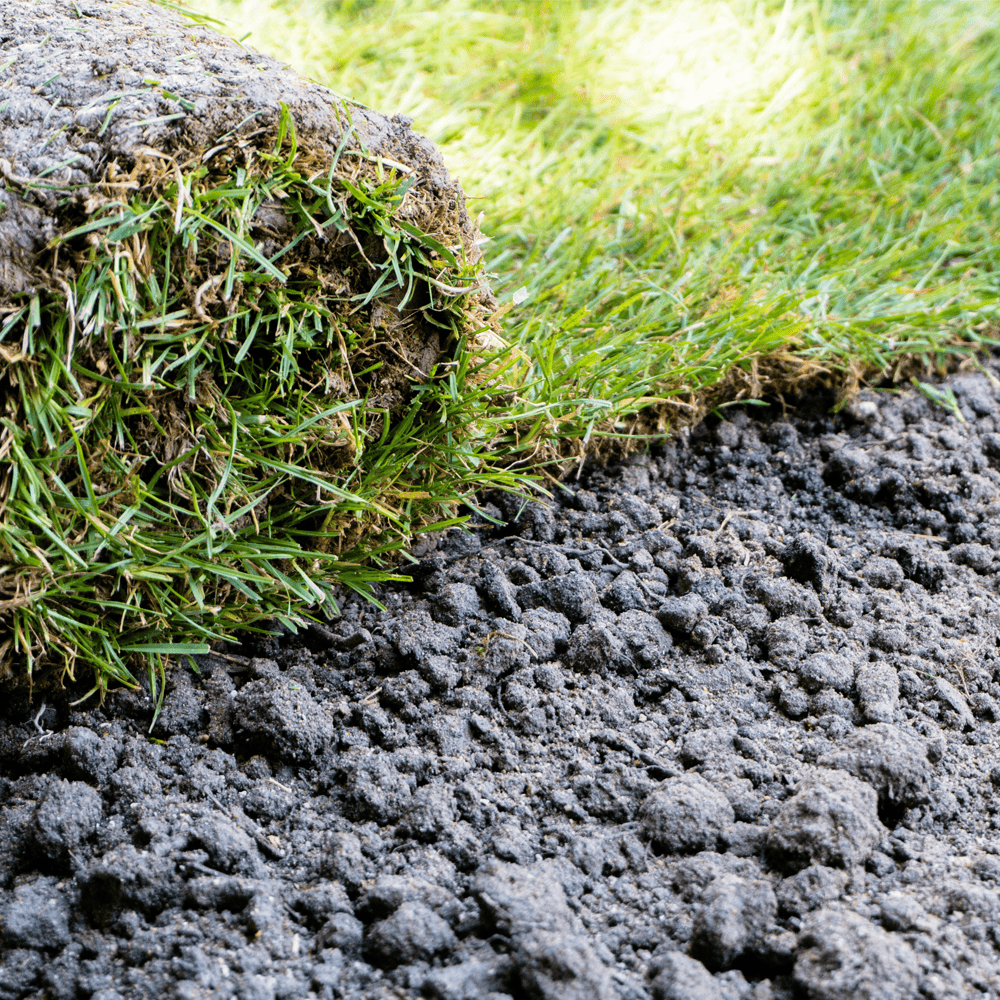 Lawn Care Tips - Setting a turf on soil