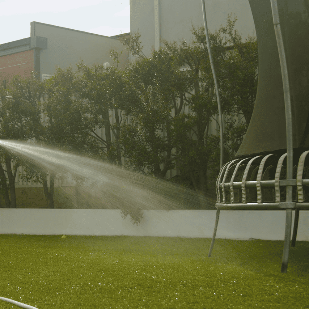 Lawn Care Tips - Watering the lawn during the day