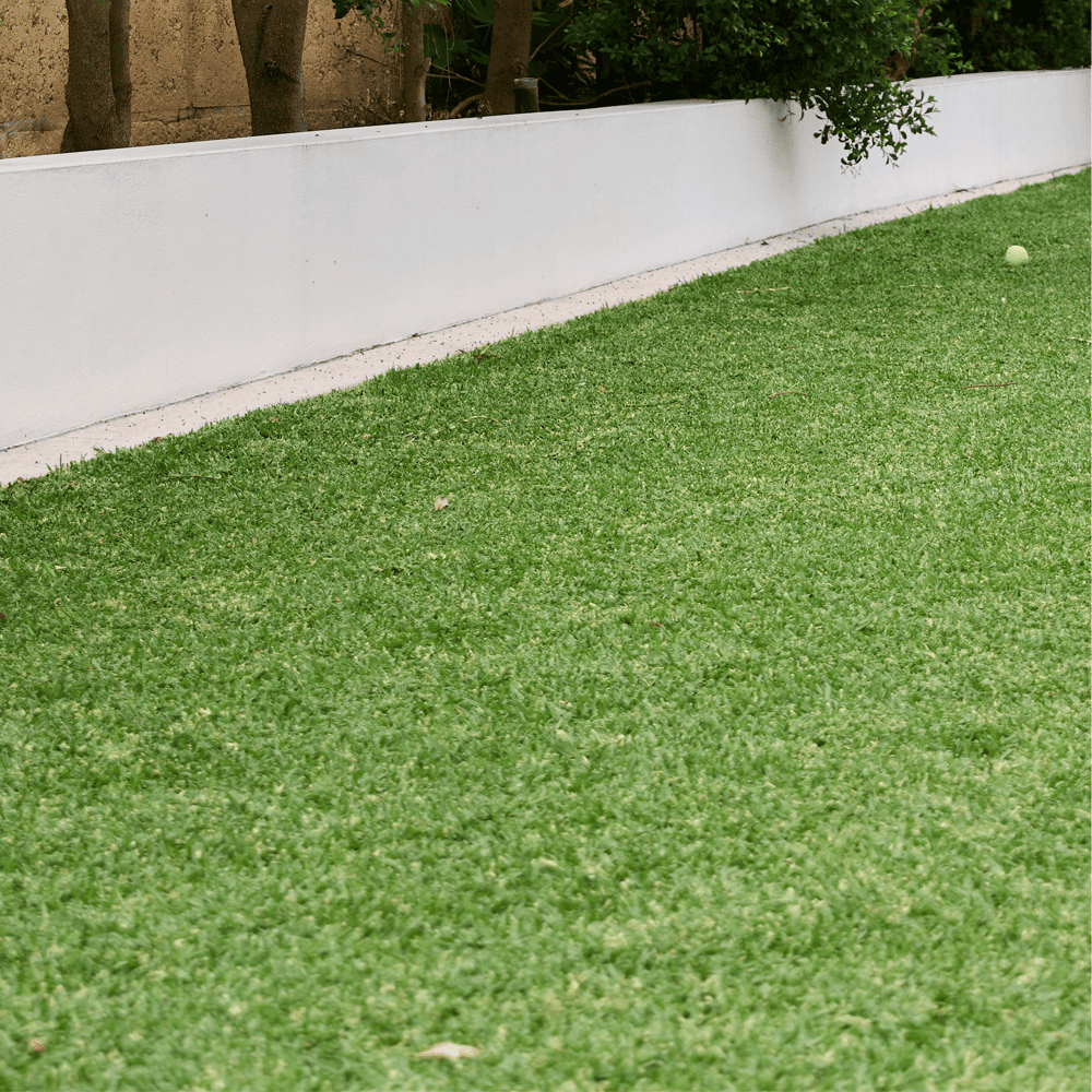 Australian Lawn Care - Well maintained lawn