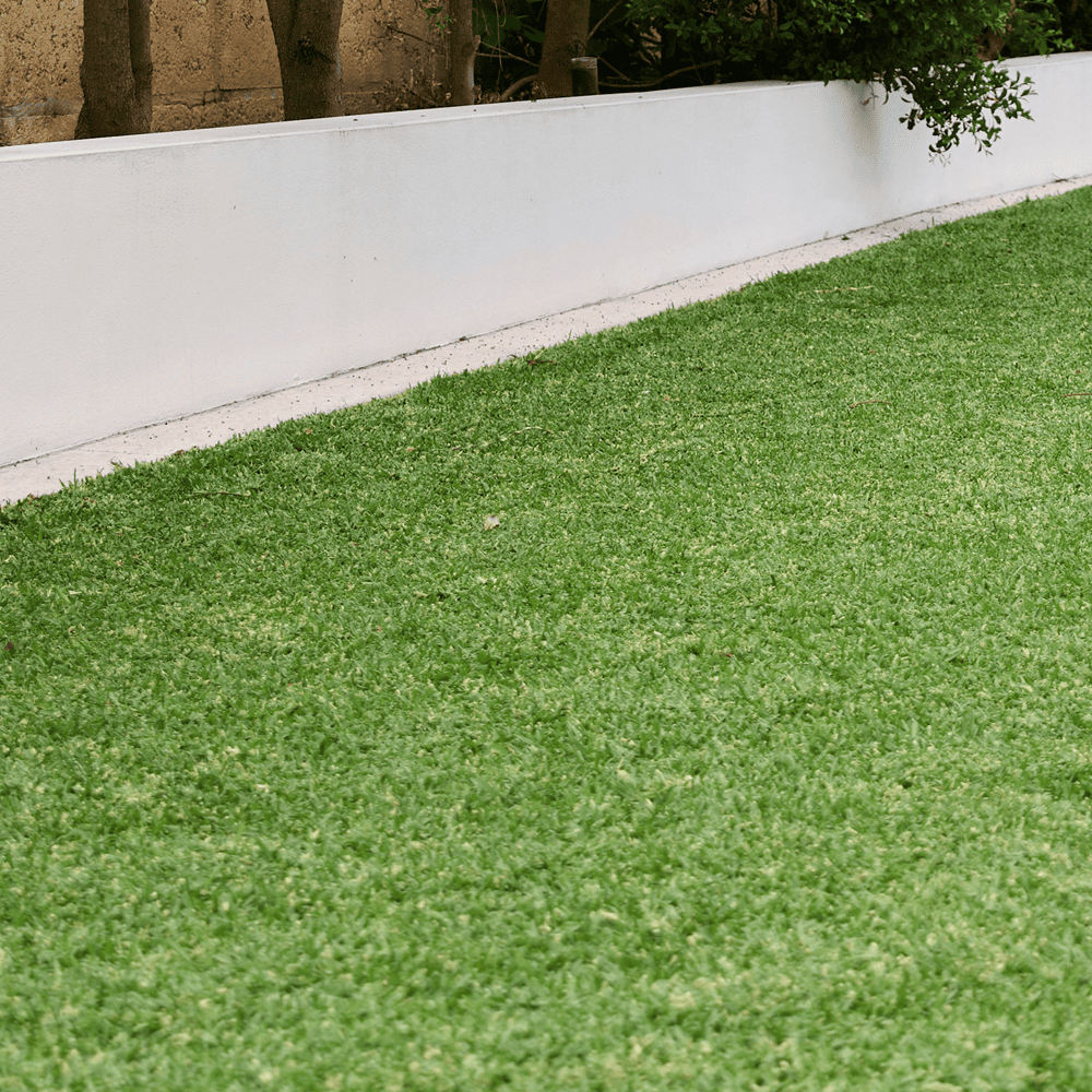 Australian Lawn Care - Green lawn with small trees on the side