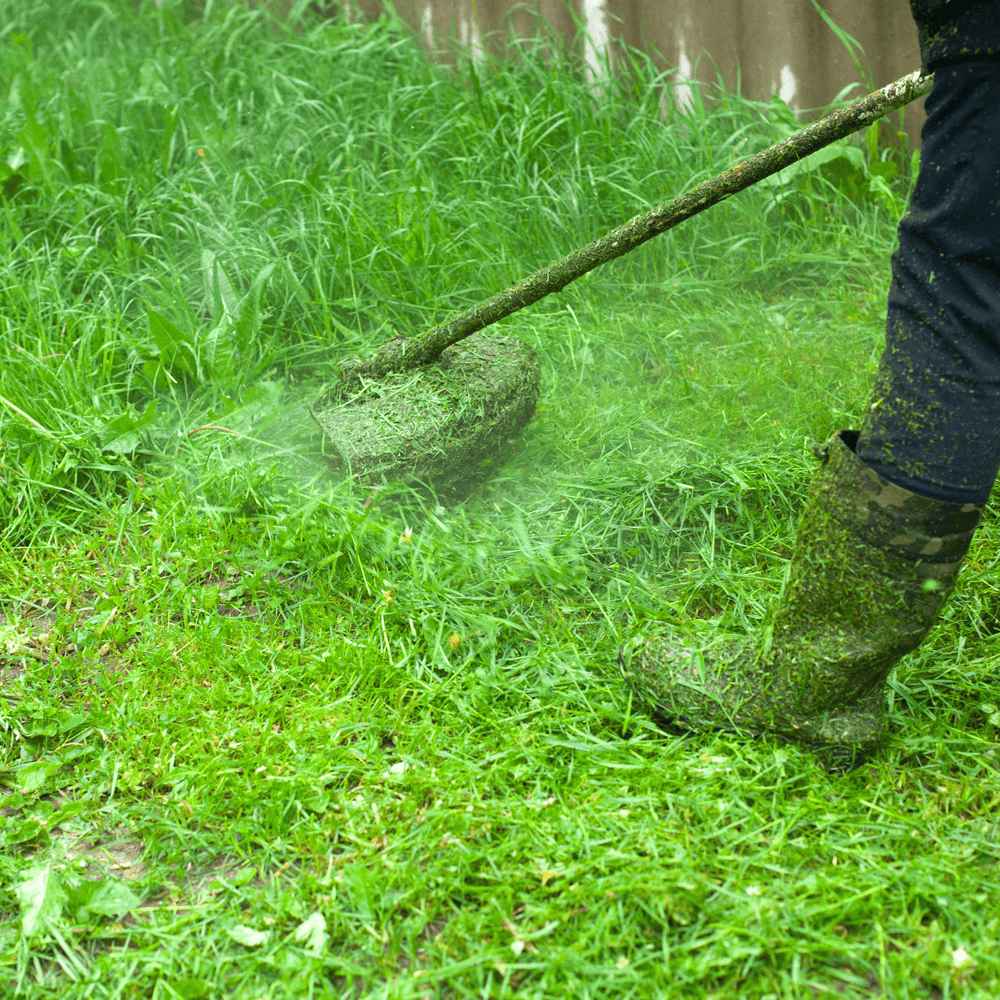 Australian Lawn Care - Man mowing lawn during Spring
