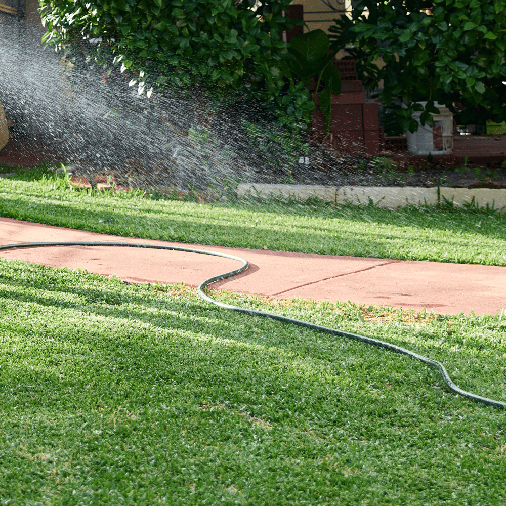 Australian Lawn Care - Watering a lawn in the morning