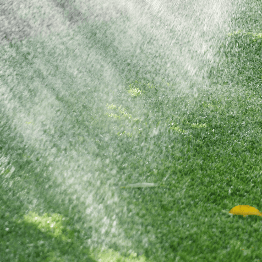 Australian Lawn Care - Early morning lawn watering routine