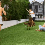 Sustainable Ways to Maintain a Lush Aussie Lawn This Summer 