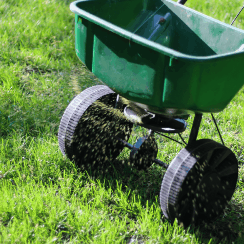 Lawn Seeding in Australia: When and How to Seed Your Lawn in Australia’s Climate 