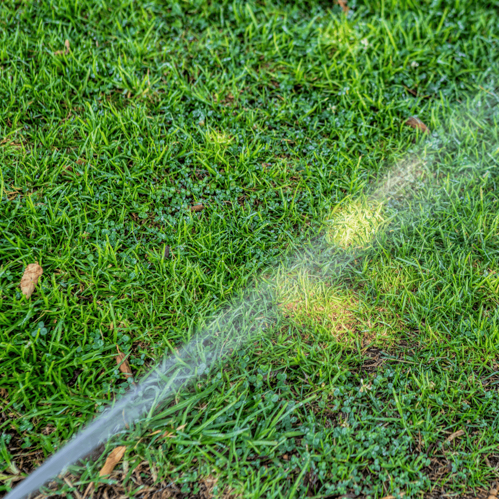 A playful dog chasing a ball across a green grassy field, highlighting effective lawn solutions by Wirri