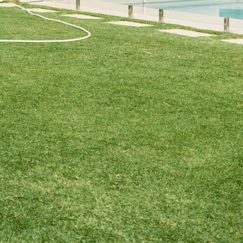 How to Transition Your Lawn from Summer to Autumn in Western Australia 