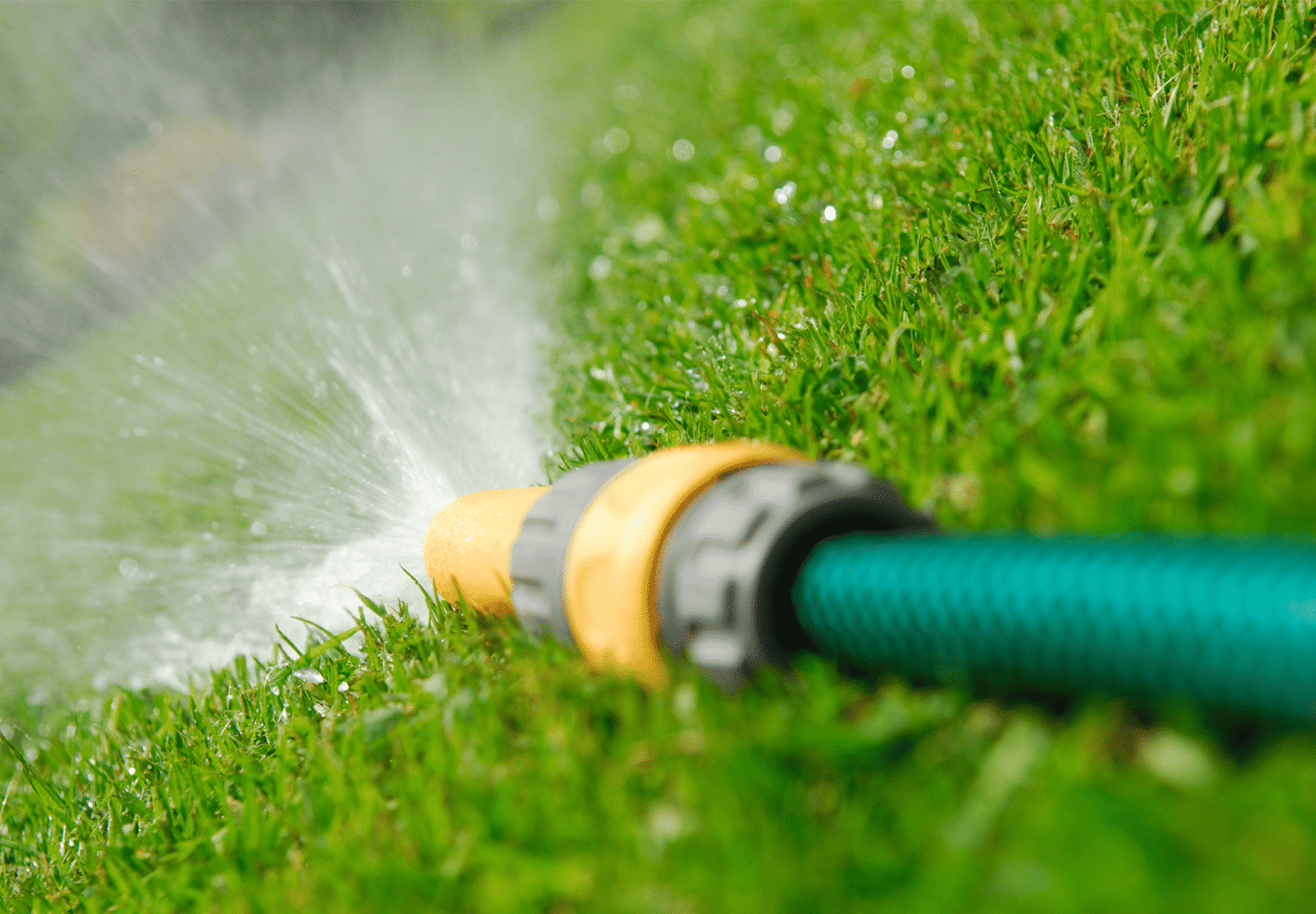 Australian Lawn Care - Garden hose placed down on a lawn