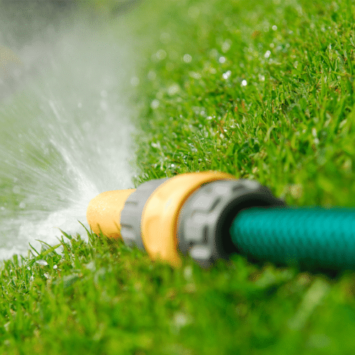Adjusting Your Lawn Watering Schedule as Summer Ends 