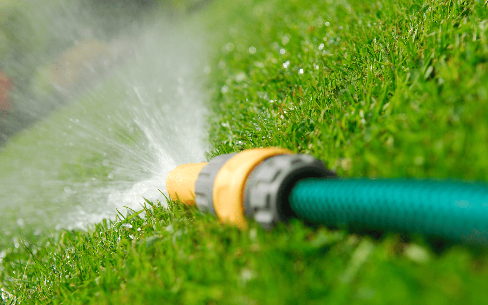 Australian Lawn Care - Garden hose placed down on a lawn
