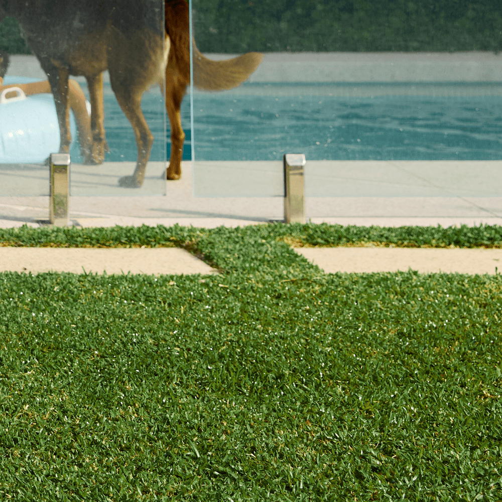 Australian Lawn Care - Lawn view near a pool