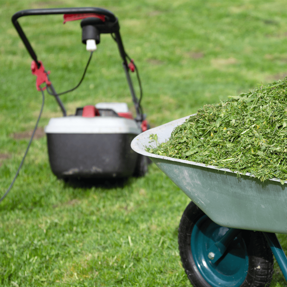 Low maintenance lawn care autumn - Mowing tips during autumn