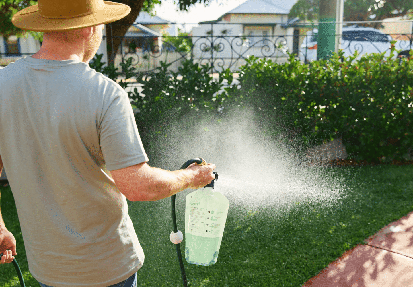 Low maintenance lawn care autumn - Using organic lawn care products in the morning