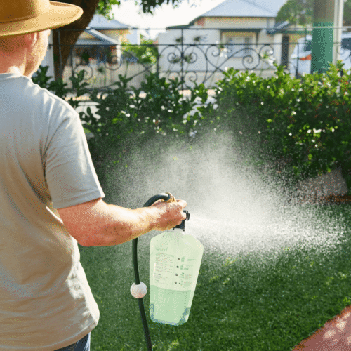 Low-Maintenance Lawn Care: How Busy Homeowners Can Keep a Healthy Lawn This Autumn 