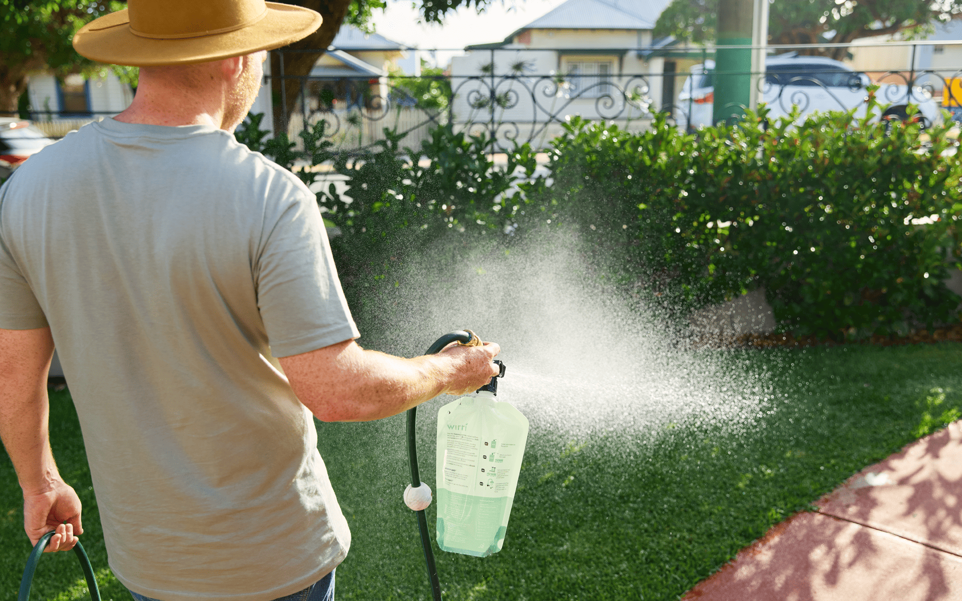 Low maintenance lawn care autumn - Using organic lawn care products in the morning