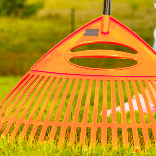 Dethatching and Scarifying Before Winter 