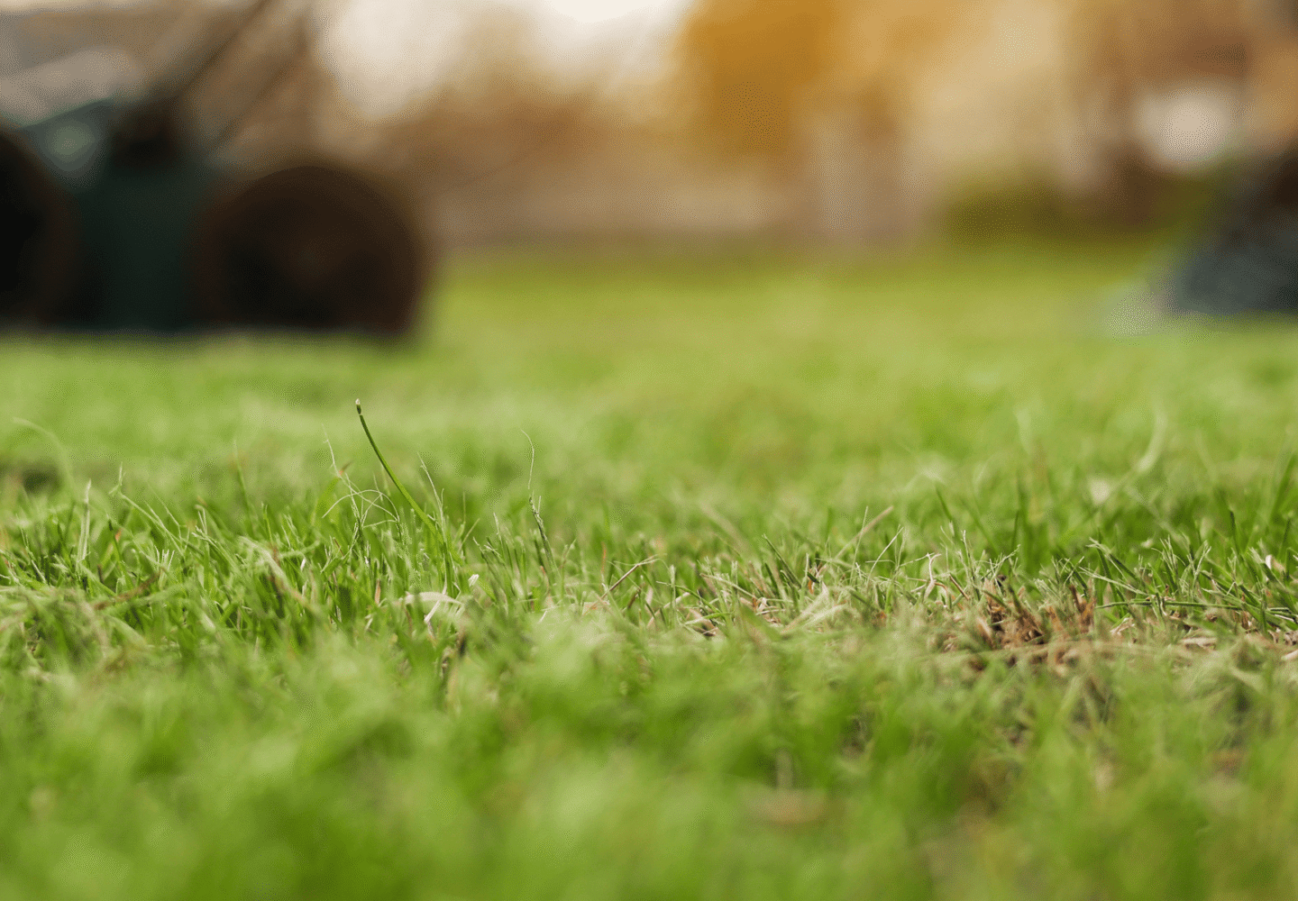 Lawn Aerating - Freshly cut lawn with machine at the back