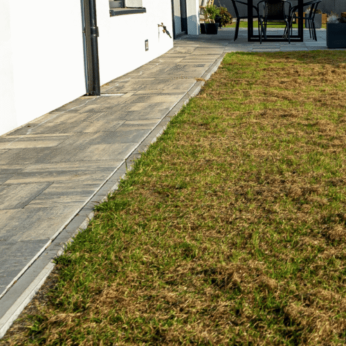 Signs Your Grass Needs Help Before Spring